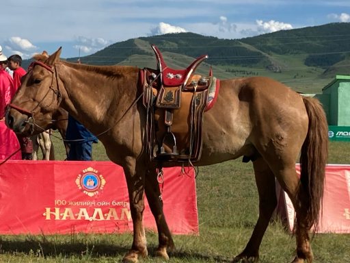 Helles Pferd mit Sattel steht vor einer roten Werbebande in einer grünen Landschaft.